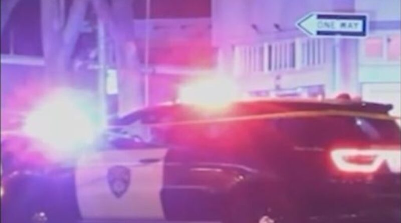 Video 21-year-old man charged with felony murder of Bay Area woman walking dogs