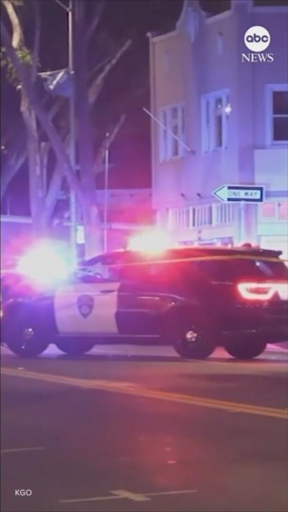 Video 21-year-old man charged with felony murder of Bay Area woman walking dogs
