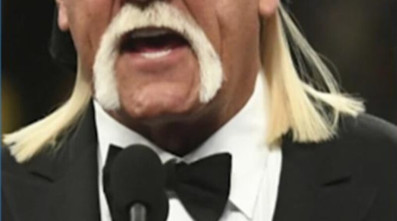 Video Pro wrestling icon Hulk Hogan has died at 71, WWE confirmed