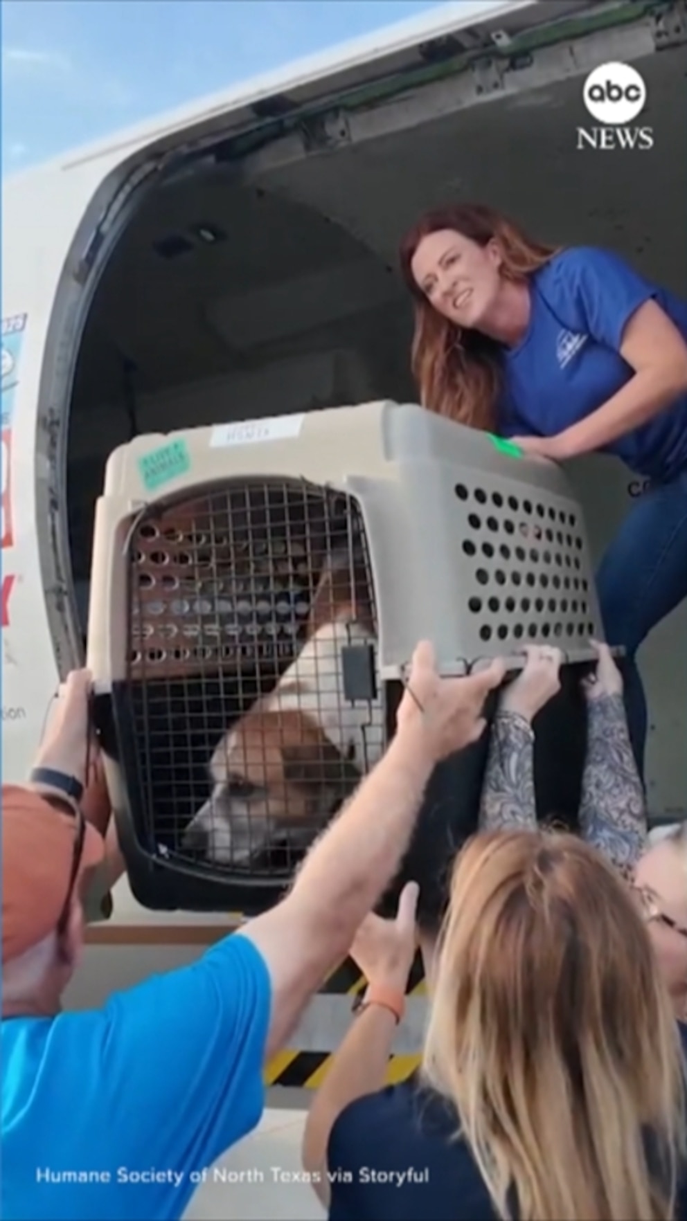 Video Shelter animals relocated after Texas floods