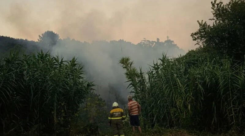 Wildfire in central Spain burns through 500 hectares of forest
