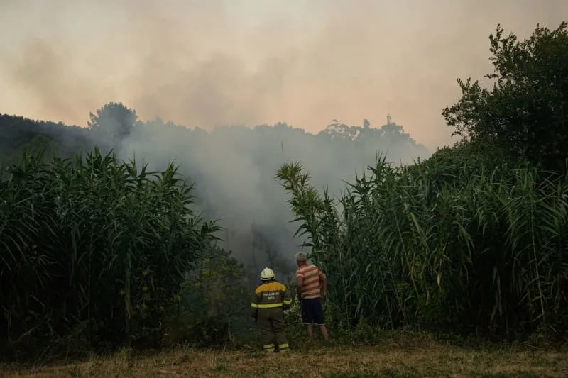 Wildfire in central Spain burns through 500 hectares of forest