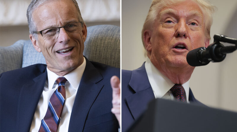 John Thune says recess appointments are ‘on the table’ as battle for Trump confirmations drags on
