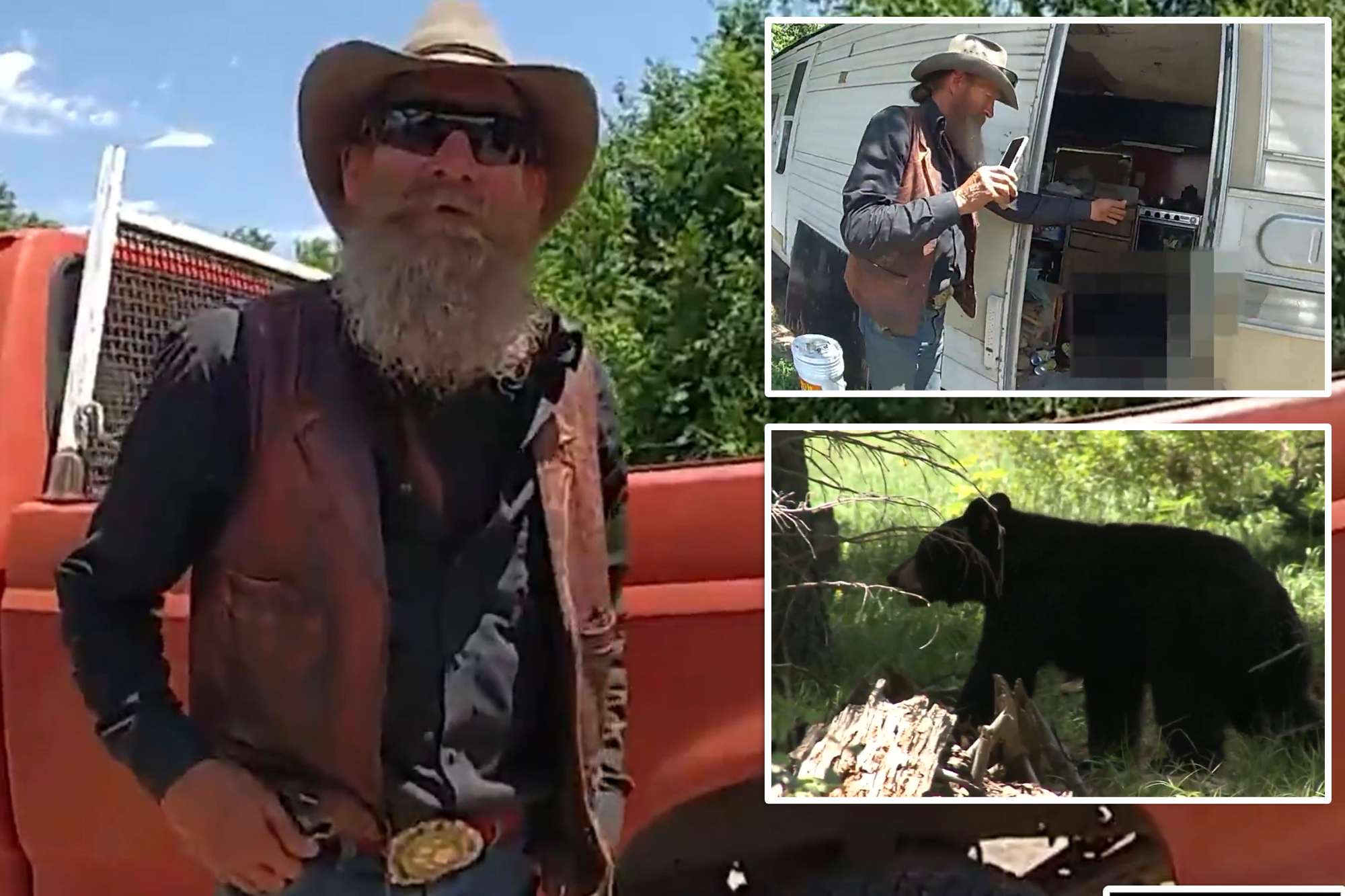 New Mexico man fatally shoots black bear that broke into his trailer home: ‘Came in, I f–king killed him’