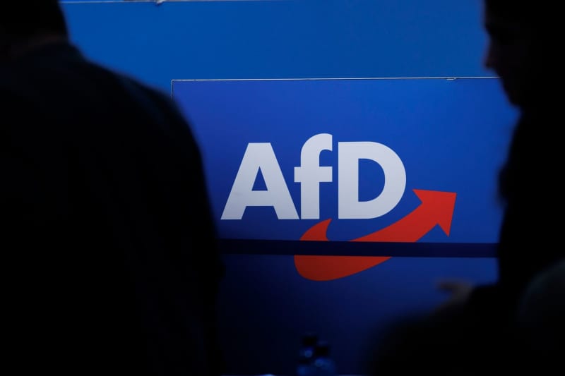 State branch of AfD in Brandenburg confirmed as far-right extremist