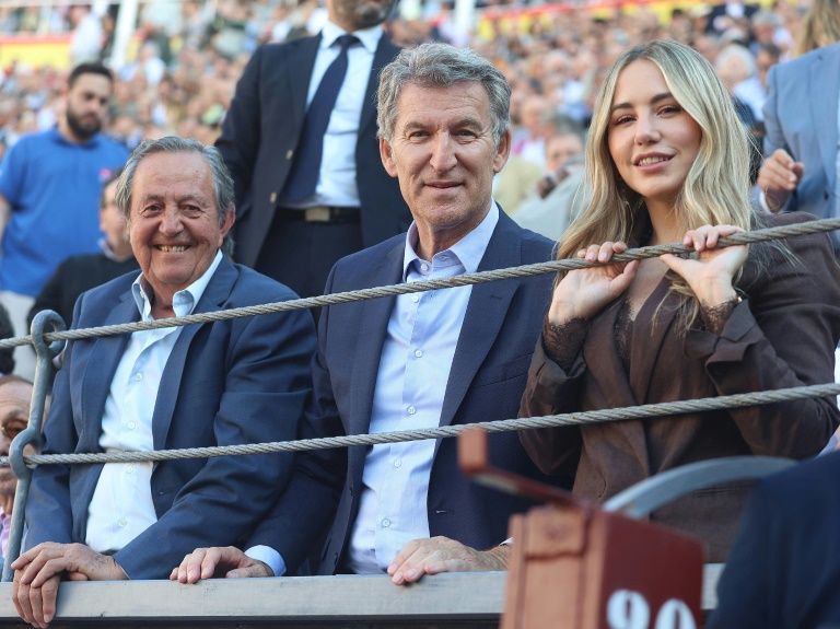 Wave of fake credentials sparks political fallout in Spain