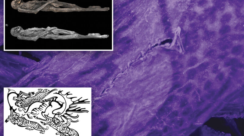 Wild tattoos of 2,500-year-old Siberian ‘ice mummy’ revealed for first time