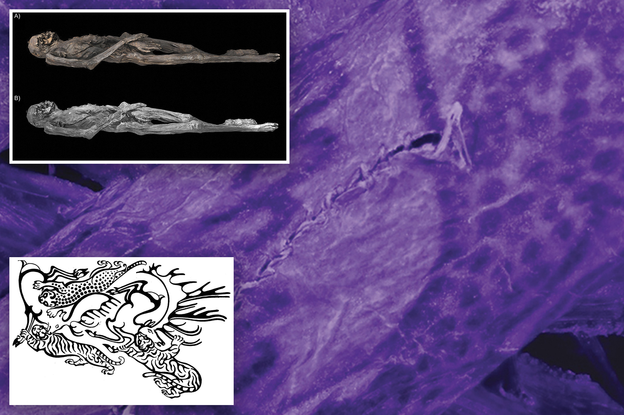 Wild tattoos of 2,500-year-old Siberian ‘ice mummy’ revealed for first time